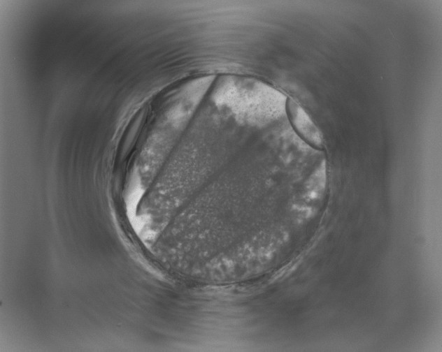 X0000074040049200609182003