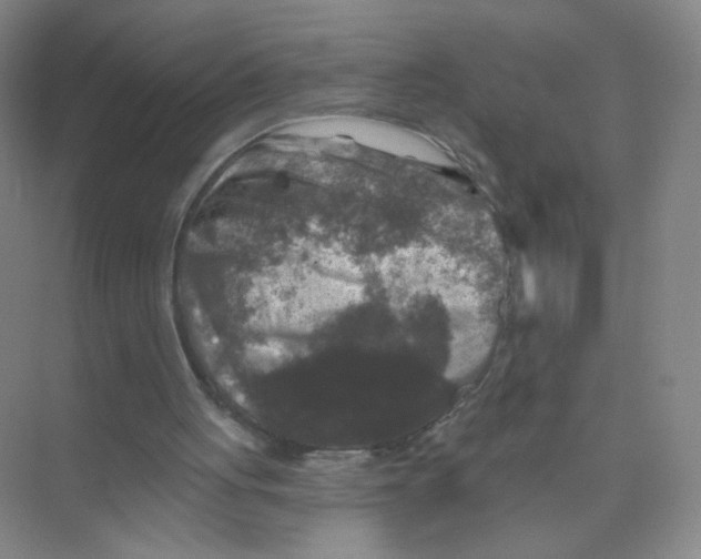 X0000074040051200609182003