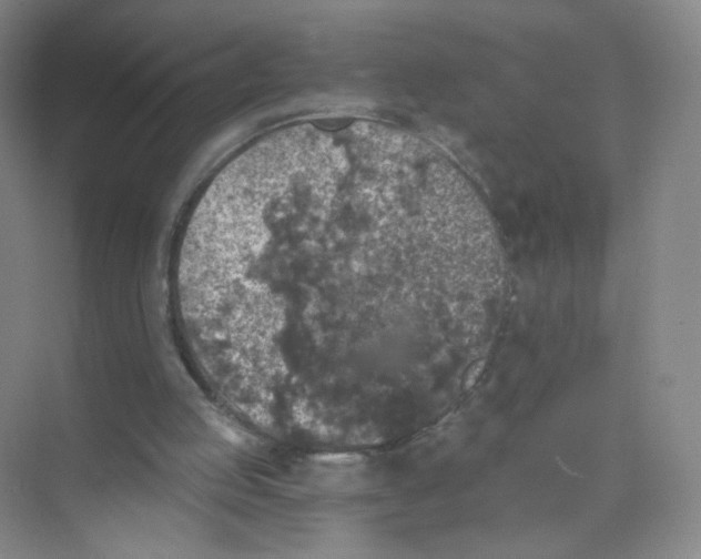 X0000074040053200609182003