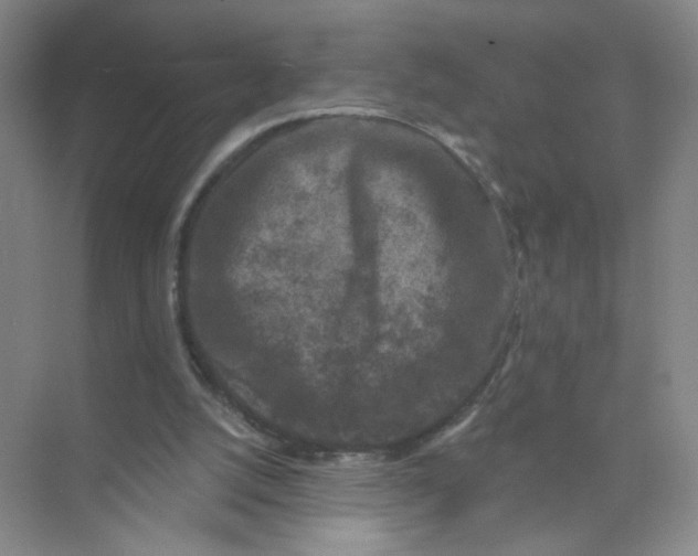 X0000074040056200609182003