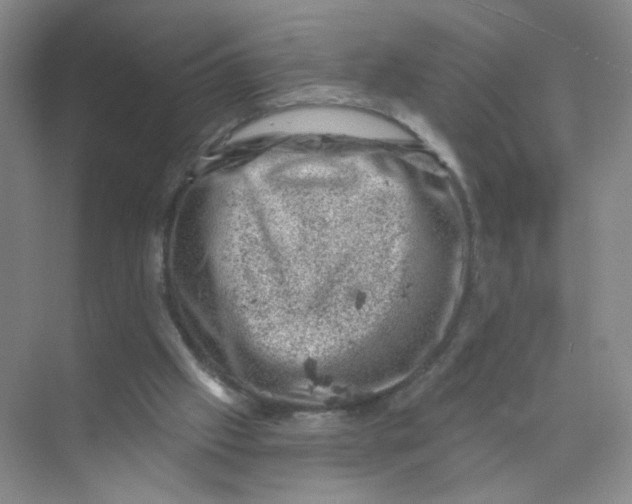 X0000074040057200609182003