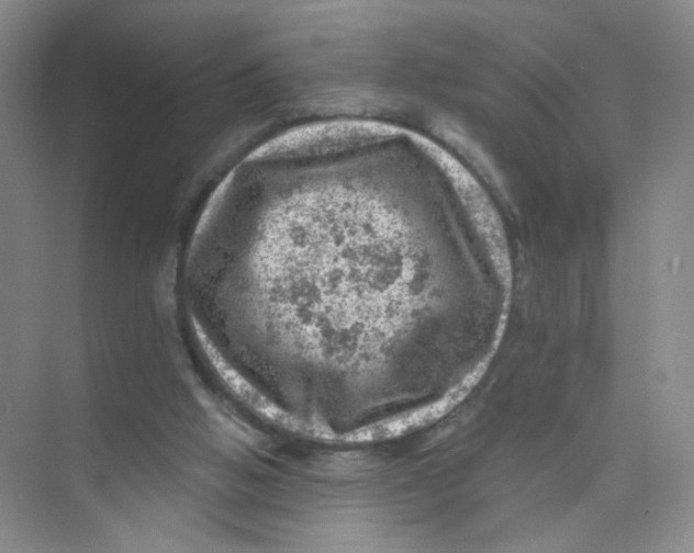 X0000074040058200609182003