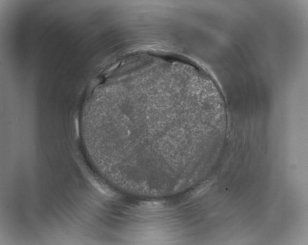 X0000074040061200609182003