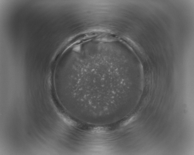 X0000074040064200609182003