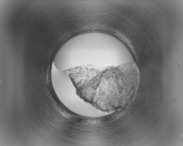 X0000074040065200609182003