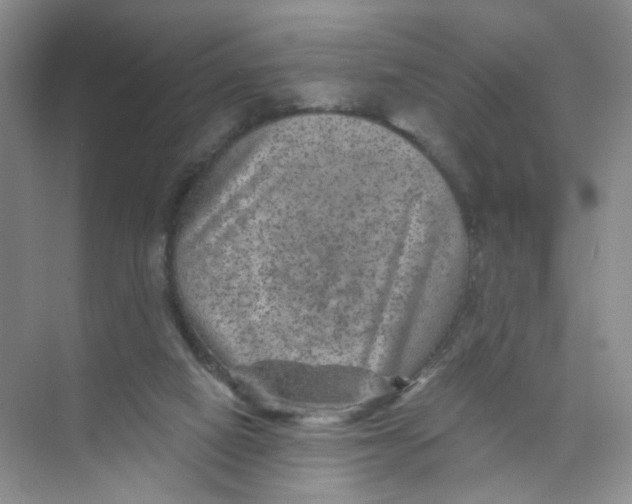 X0000074040066200609182003