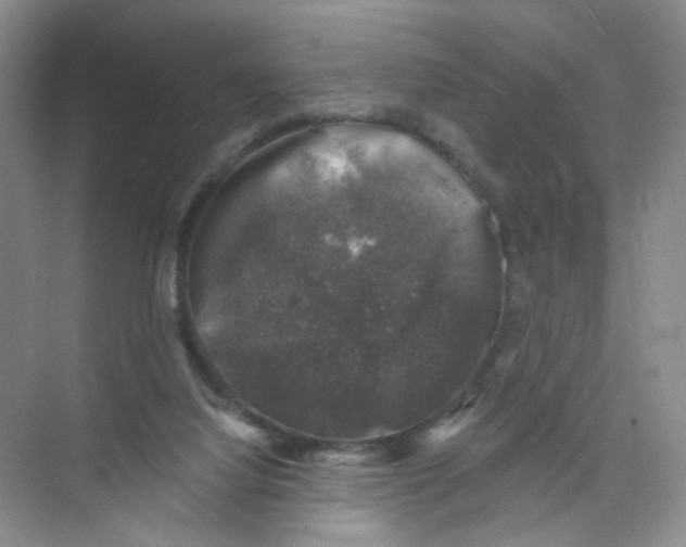 X0000074040068200609182003