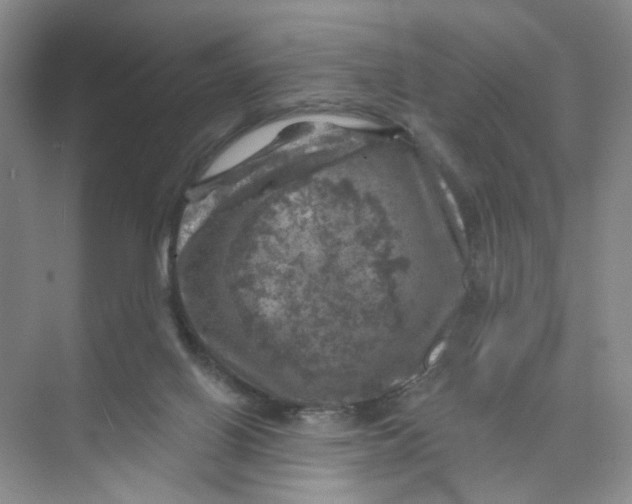 X0000074040070200609182003