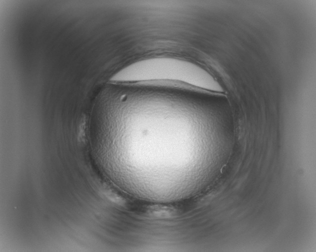 X0000074040073200609182003