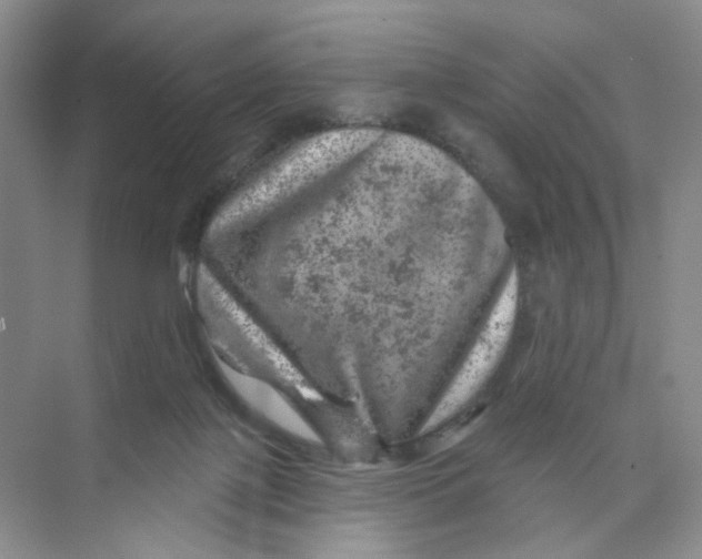 X0000074040075200609182003