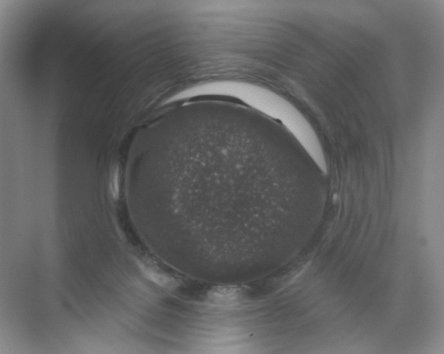 X0000074040076200609182003