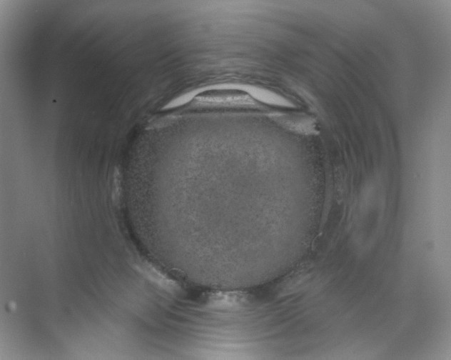 X0000074040077200609182003