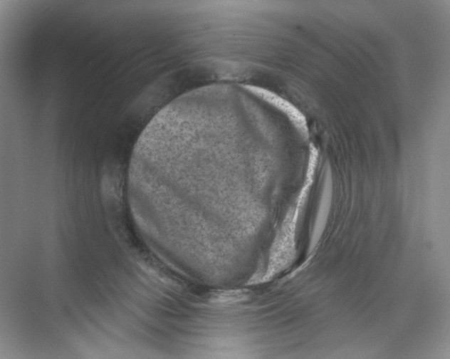 X0000074040078200609182003