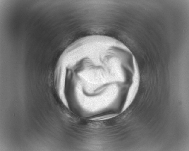 X0000074040079200609182003