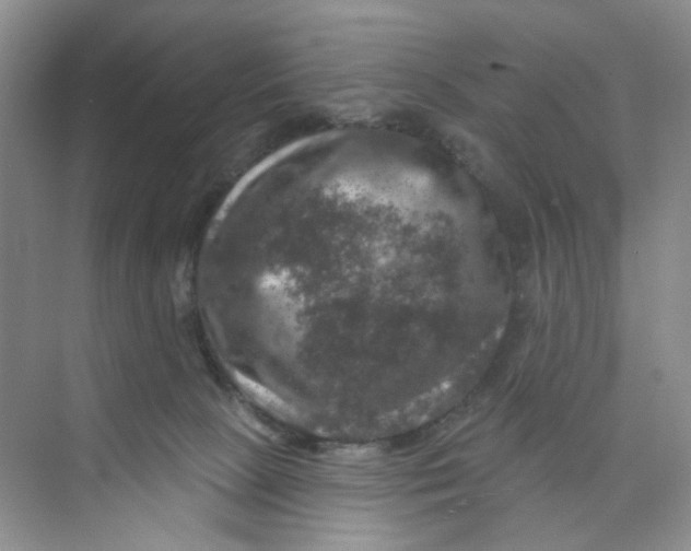 X0000074040081200609182003