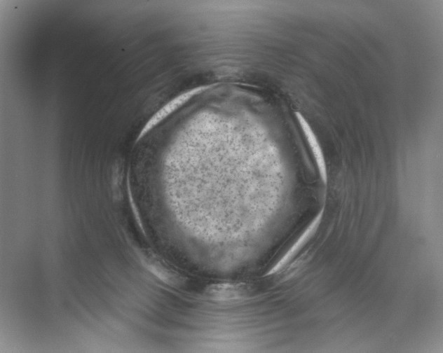 X0000074040082200609182003