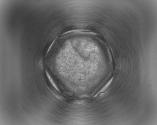 X0000074040086200609182003