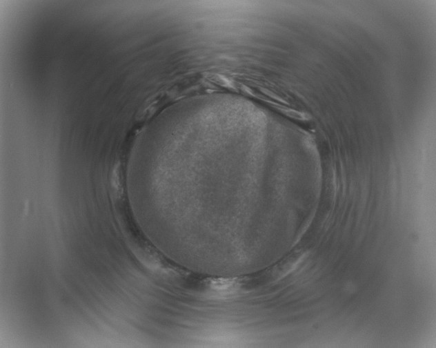 X0000074040088200609182003