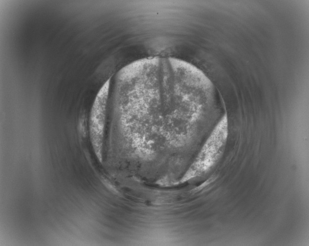 X0000074040090200609182003