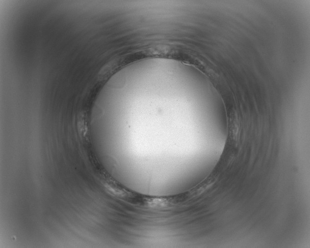 X0000074040091200609182004