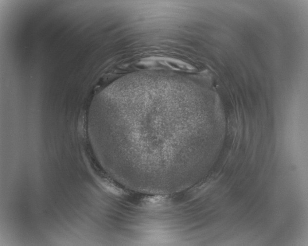 X0000074040092200609182004