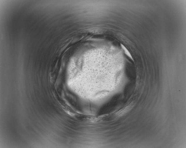 X0000074040096200609182004