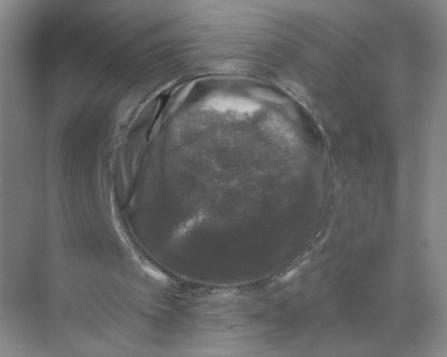 X0000074040097200609182003