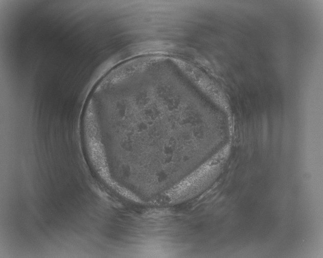 X0000074040099200609182003