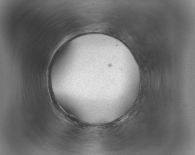 X0000074040100200609182003