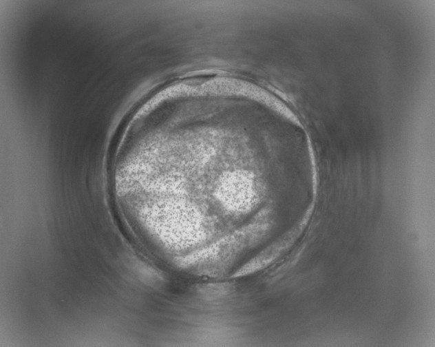 X0000074040102200609182003