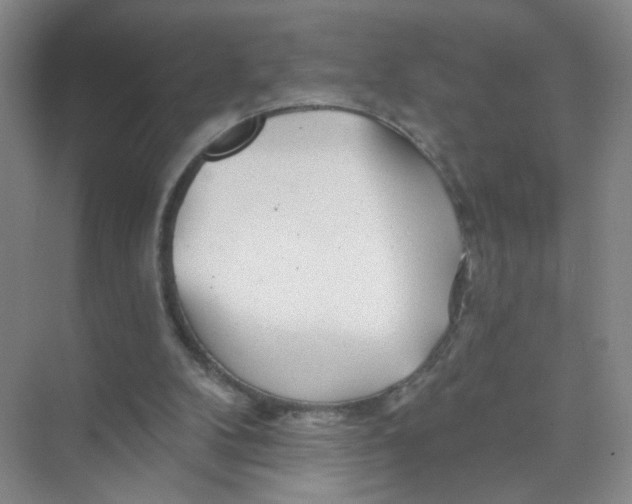 X0000074040104200609182003