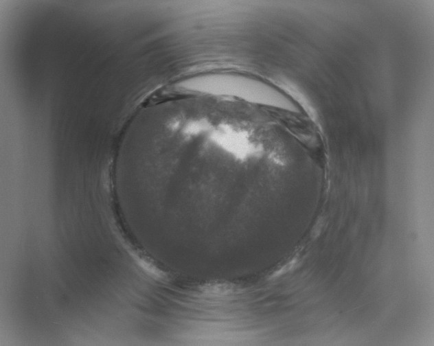 X0000074040105200609182003