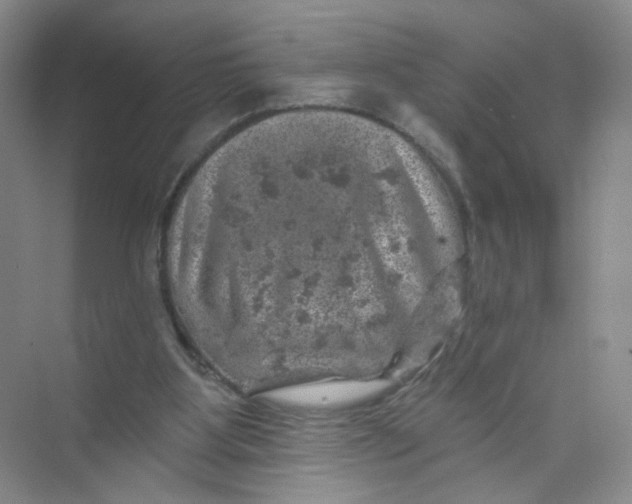 X0000074040107200609182003