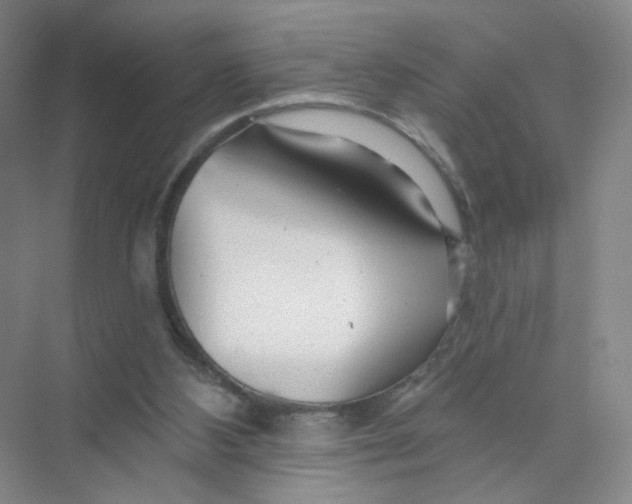 X0000074040108200609182003