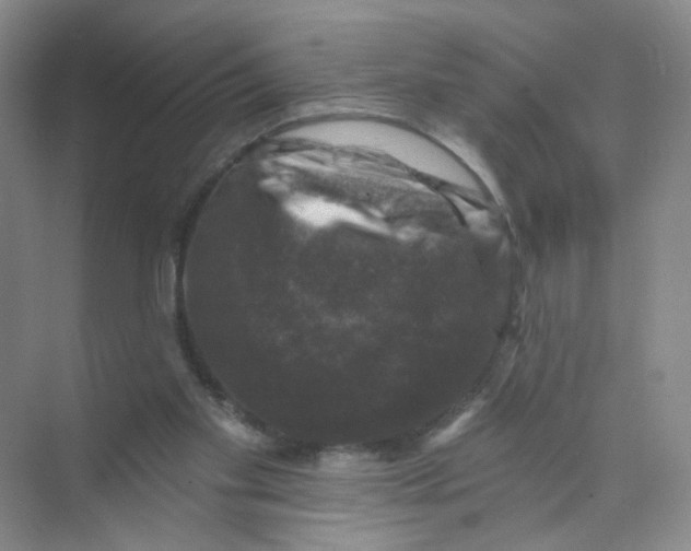 X0000074040109200609182003