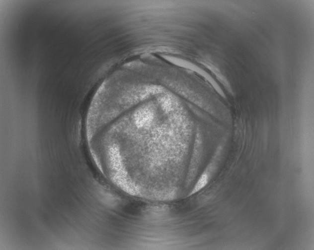 X0000074040110200609182003