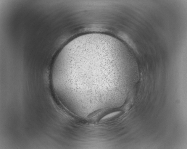 X0000074040111200609182003