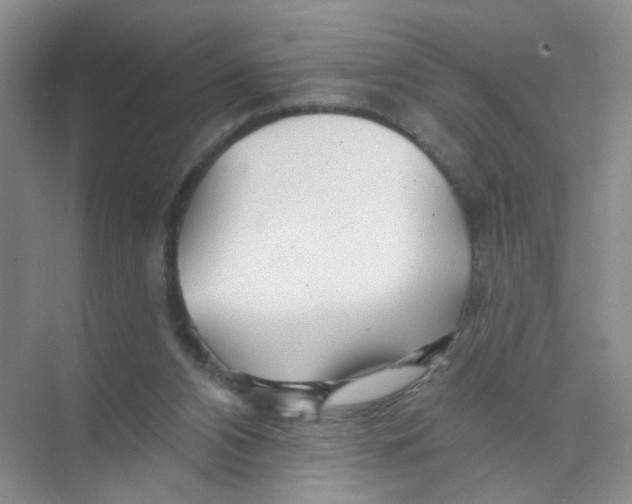 X0000074040112200609182003