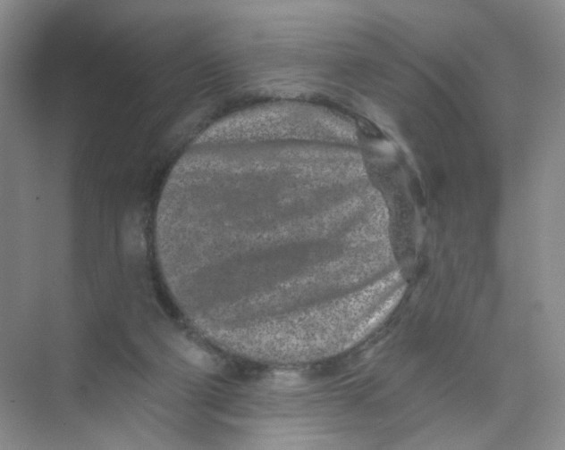 X0000074040114200609182003