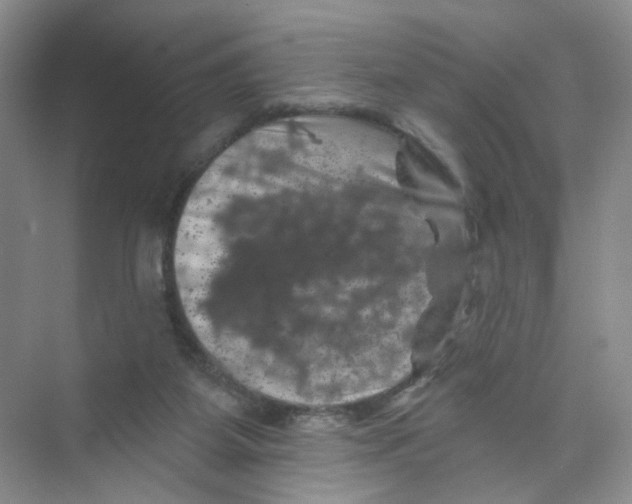 X0000074040115200609182002