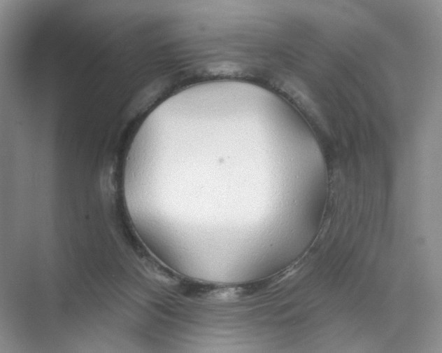 X0000074040116200609182002