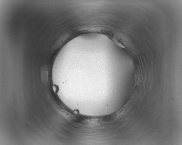 X0000074040120200609182002