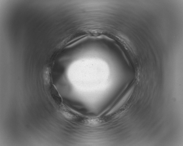 X0000074040121200609182002