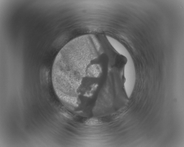 X0000074040123200609182002