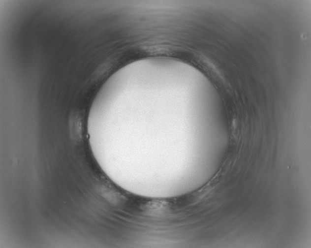 X0000074040124200609182002