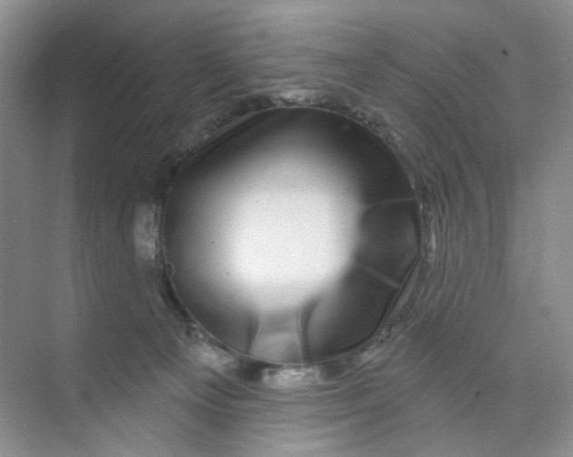 X0000074040129200609182002