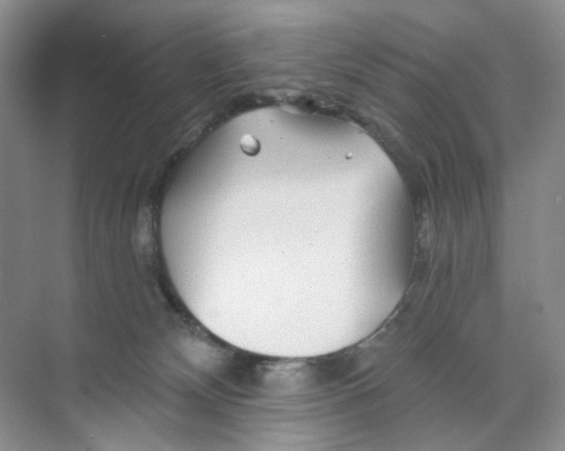 X0000074040132200609182002