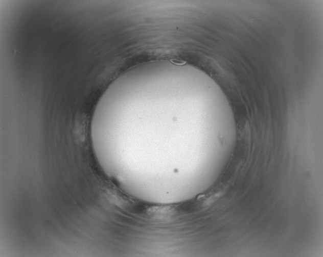 X0000074040133200609182002