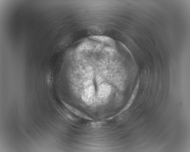 X0000074040134200609182002