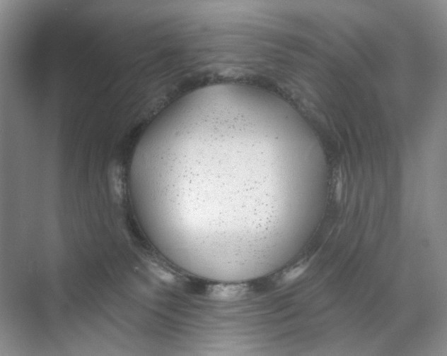 X0000074040135200609182002